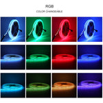 LED Strip Lights (120 LEDs per meter - High Colour Density)