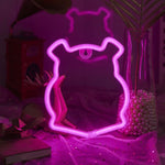 LED USB Neon Sign (20 Signs To Choose From)